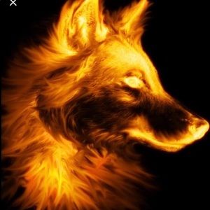 Meet your Posher, Nisha